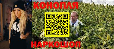 гашиш Новозыбков