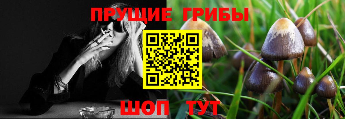 Псилоцибиновые грибы Cubensis  Псилоцибиновые грибы MAGIC MUSHROOMS  Троицк  Вход с VPN 